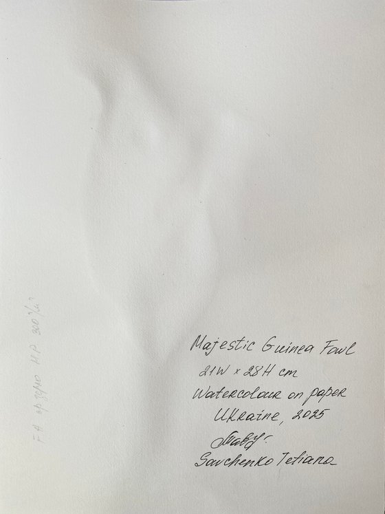 African Marabou stork, bird portrait