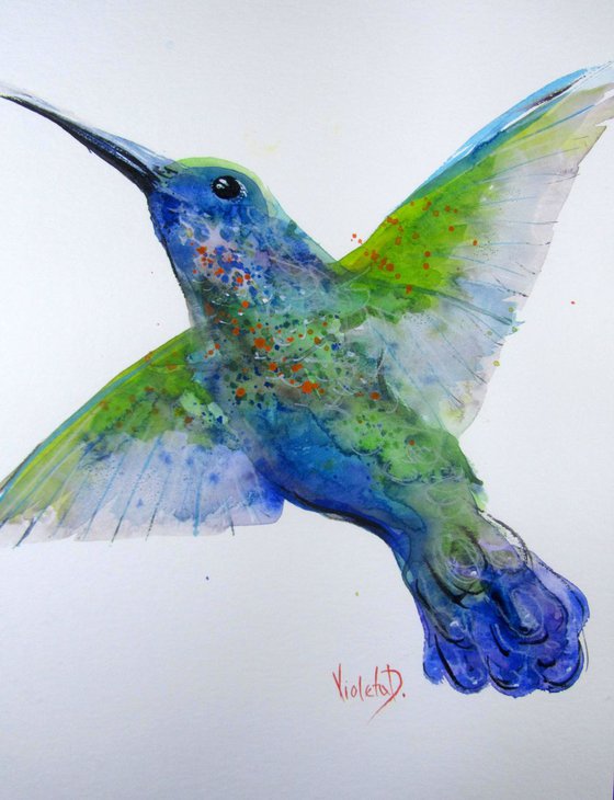 Hummingbird Violetear