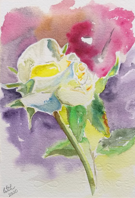 Flowers watercolor