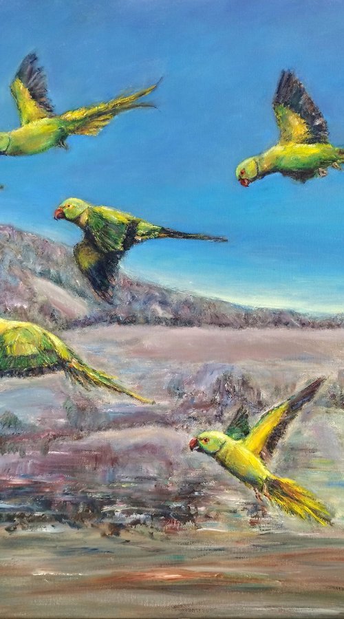 Rose-ringed Parakeets by Jura Kuba Art