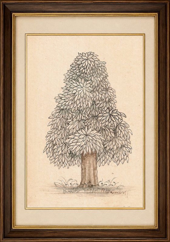 Baby Mango Tree | Indian Miniature