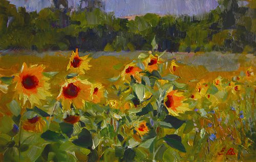 Sunflowers. Study by Valentin