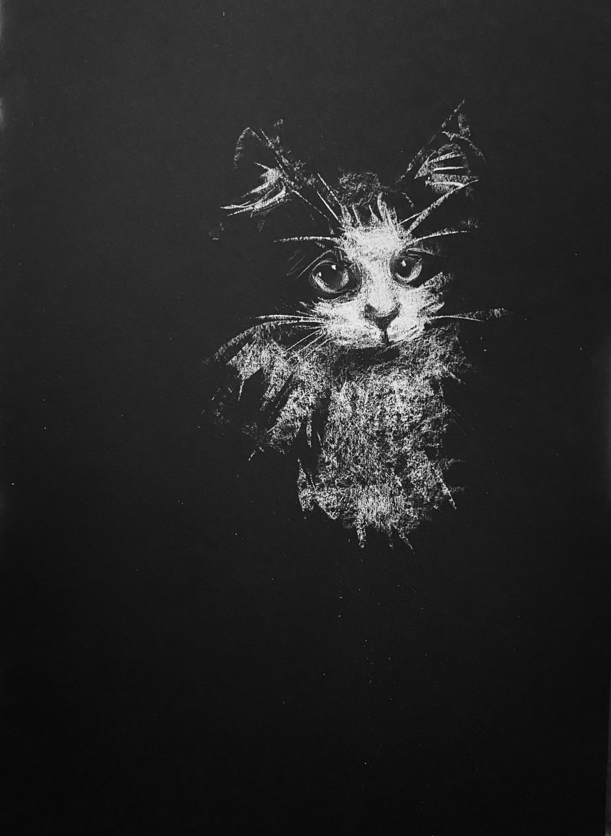Cat I by Olga Bolgar
