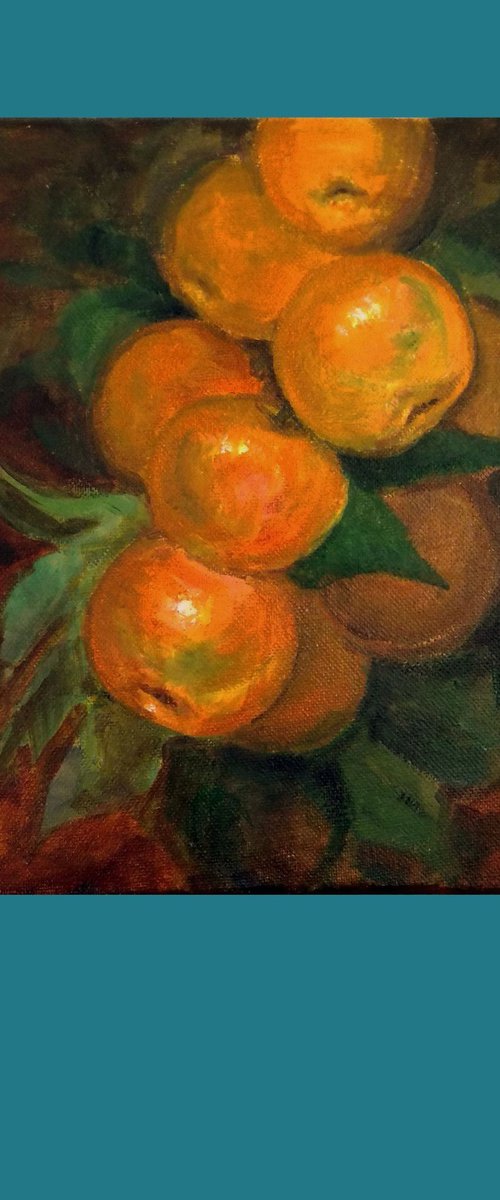 Mandarin Oranges on a branch by Asha Shenoy