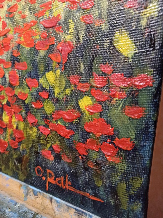 Poppy field by the river