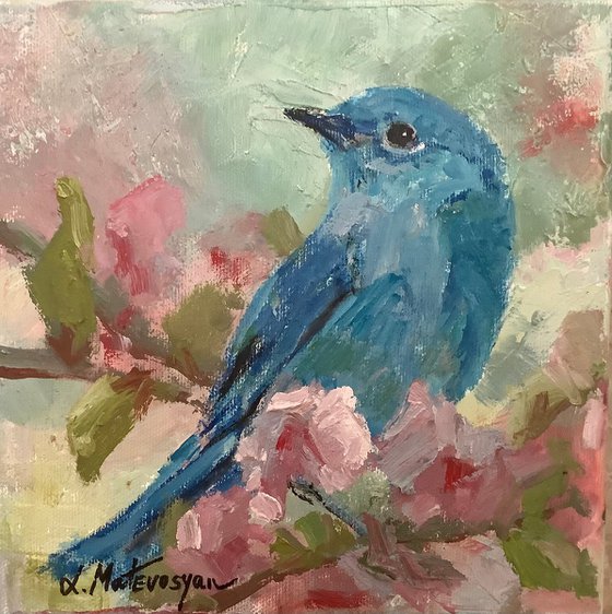 Blue Bird
