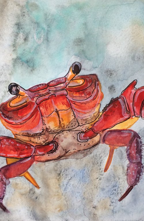 Animal original painting - Red Crab mixed media watercolor - Nautical wall art - Gift idea by Olga Ivanova