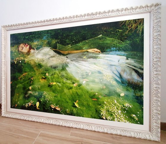 (MUSEUM FRAMED) Take me to your dreams Ophelia IV
