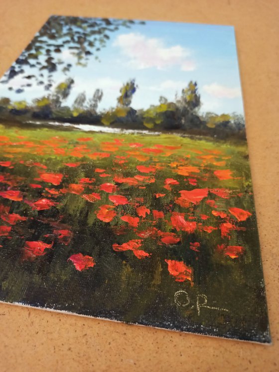 Poppies by the river