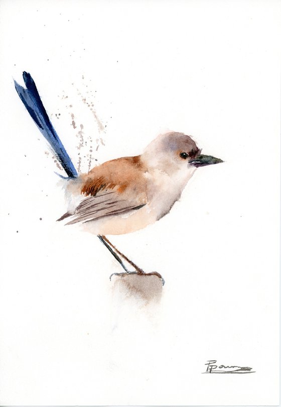 Wrens - triptych