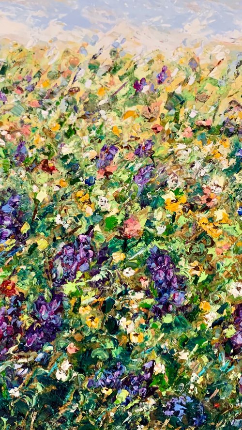Field of blooming lupines by Vilma Gataveckienė