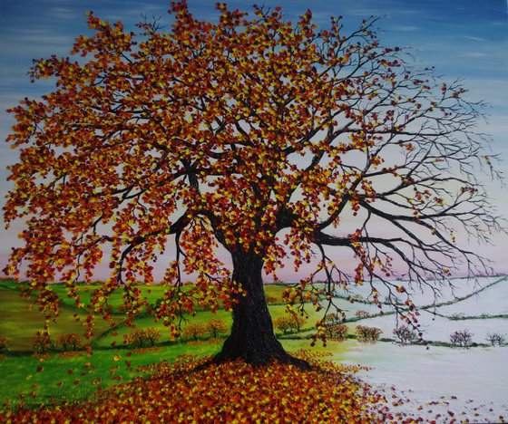 Oak tree in Autumn and Winter