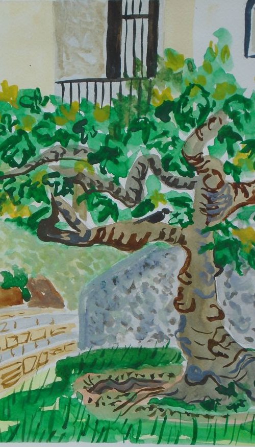 Fig Tree in  Spanish Garden by Kirsty Wain