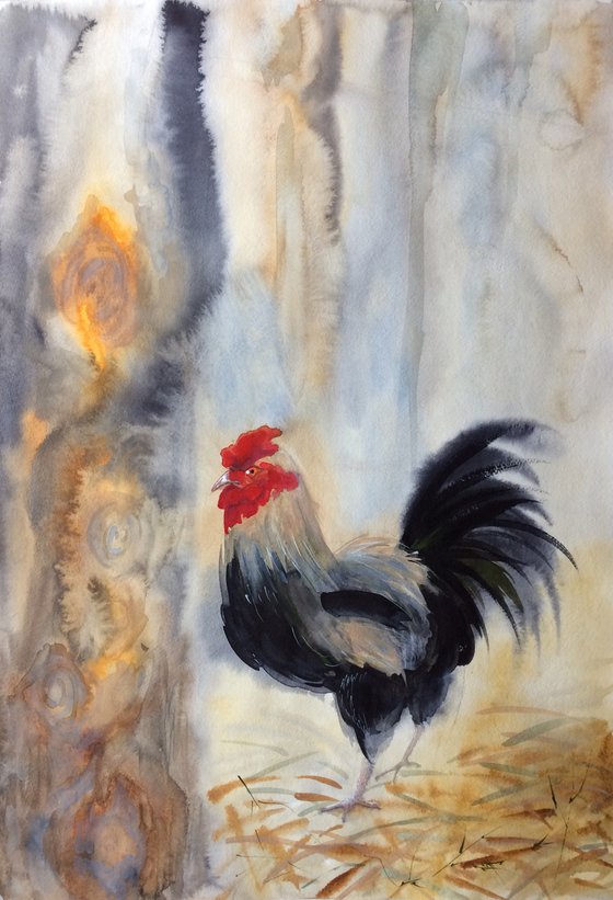 Rooster