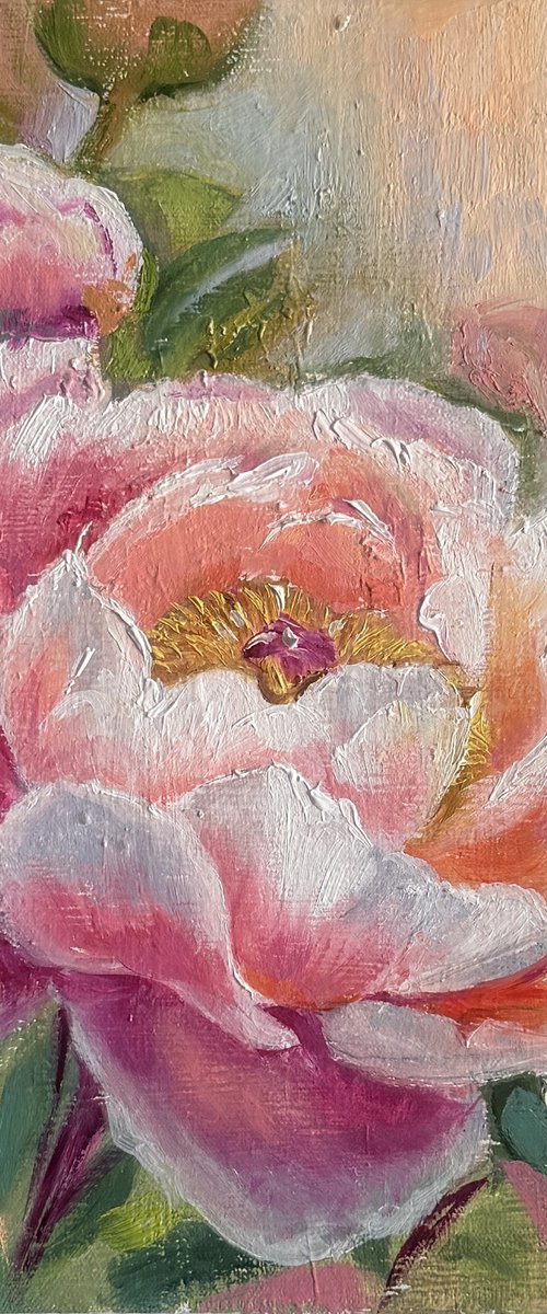 Blush Peony in Bloom by Irina Ponna