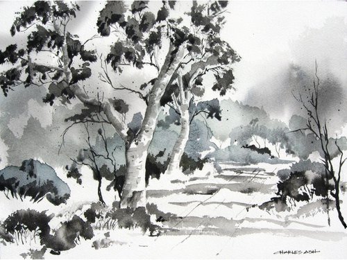 Woodland Trail - Original Ink and Watercolor Painting by CHARLES ASH