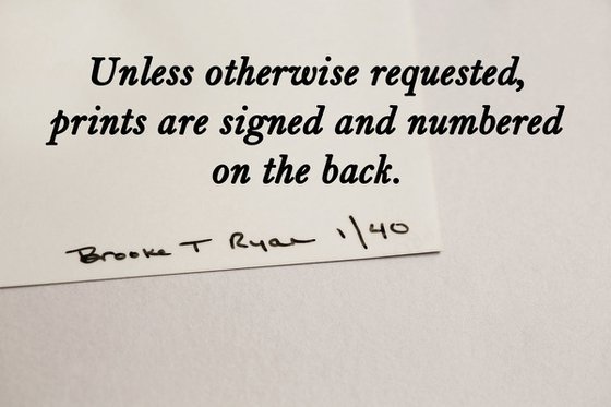 Saltmeadow Cordgrass and Common Reed