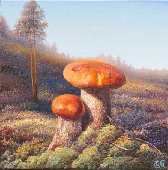 Mushroom glade