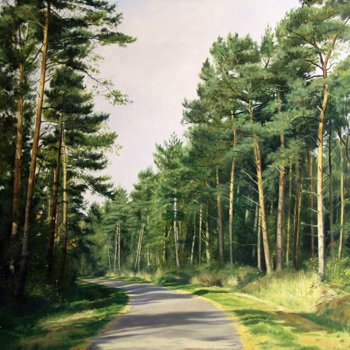 Photorealistic Oil Painting , Pine Forest In Dronten By Mayrig Simonjan, 28 X 28, Artwork For Sale On Artfinder
