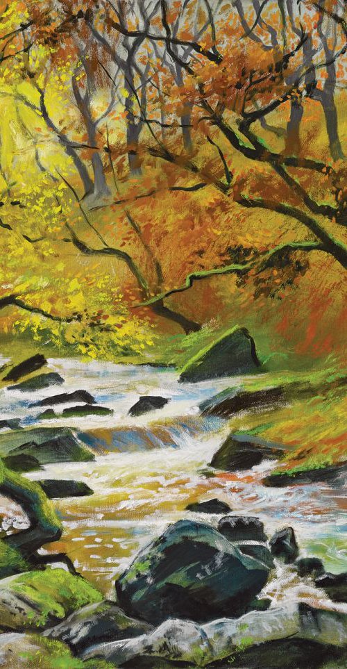 Autumn on the East Okement, Dartmoor by Daniel Loveday