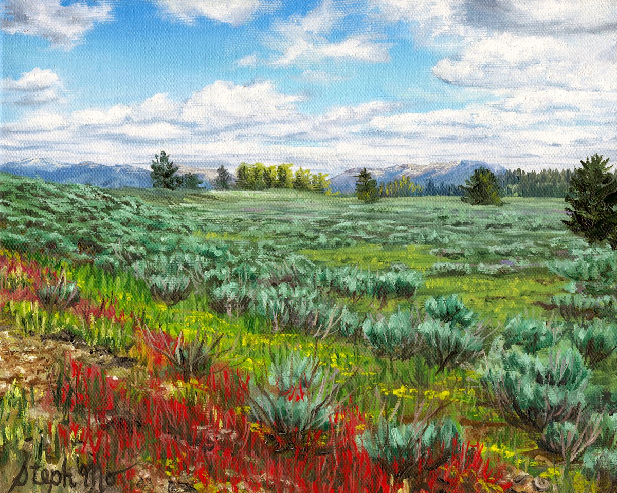 Sagebrush Plains by Steph Moraca