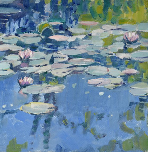 Water lilies V