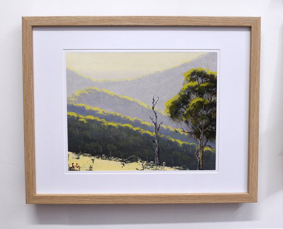 Summer Australian Landscape