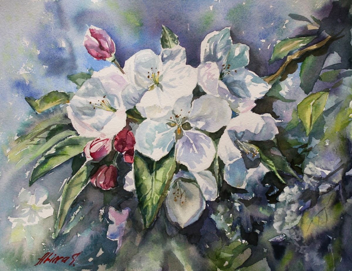 Original watercolor hand painting Apple blossom floral fine art, flowers wall art, wall de... by Alina Shmygol