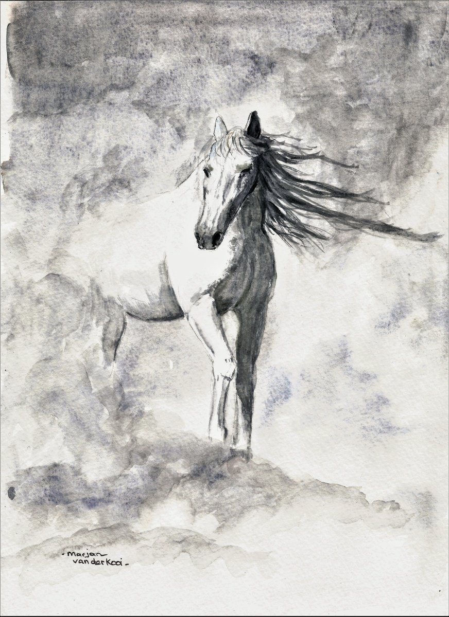 Confident Wild Horse Running by MARJANSART