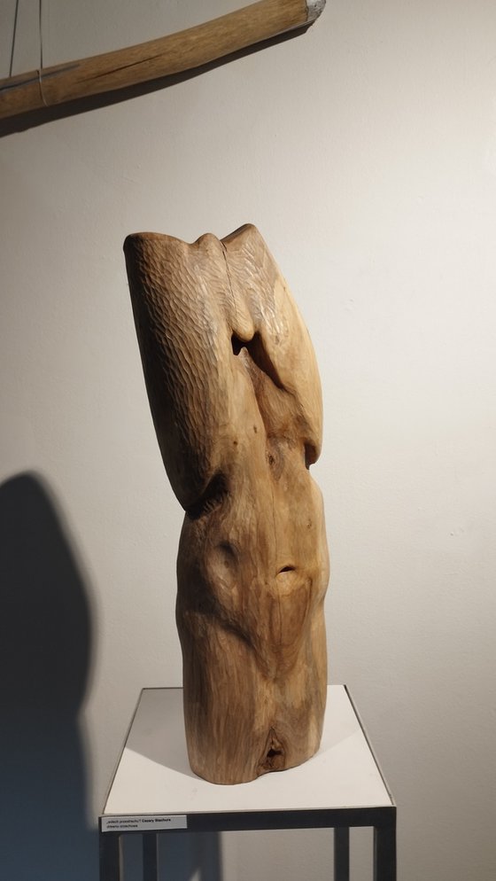 Torso