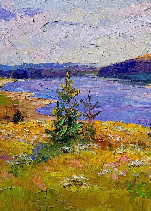 View of Fields by the River by Boris Serdyuk