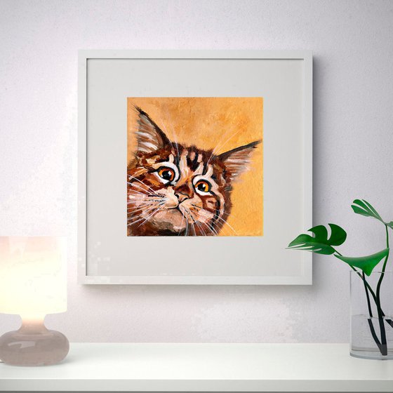 Tabby Cat