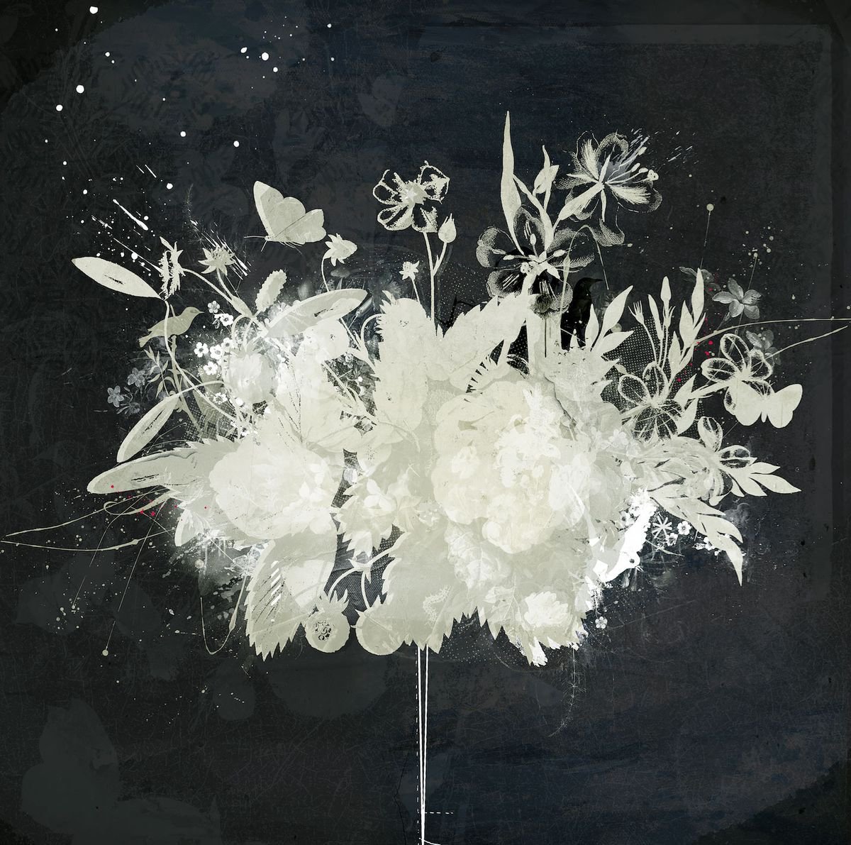 Botanical Painting By Teis Albers, 39 X 39", Crows Heart, Original Artwork