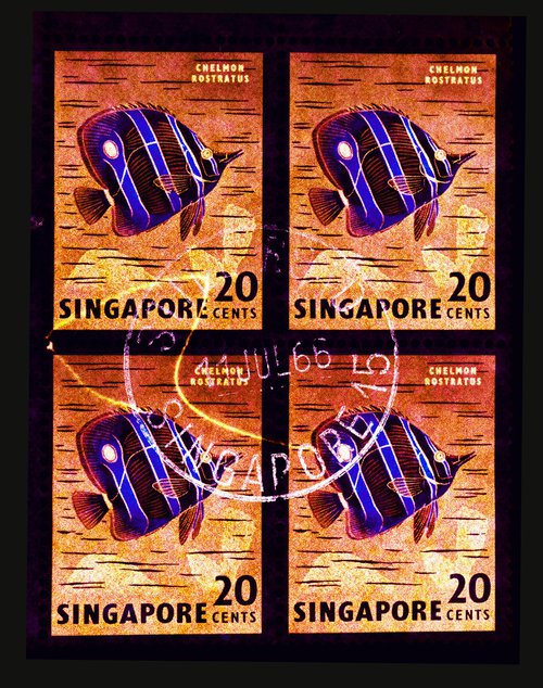 Heidler & Heeps Singapore Stamp Collection '20 Cents Singapore Butterfly Fish' (Gold) by Richard Heeps