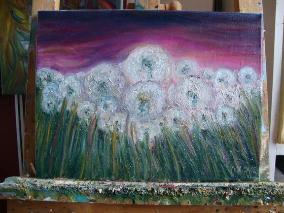 Field of dandelions