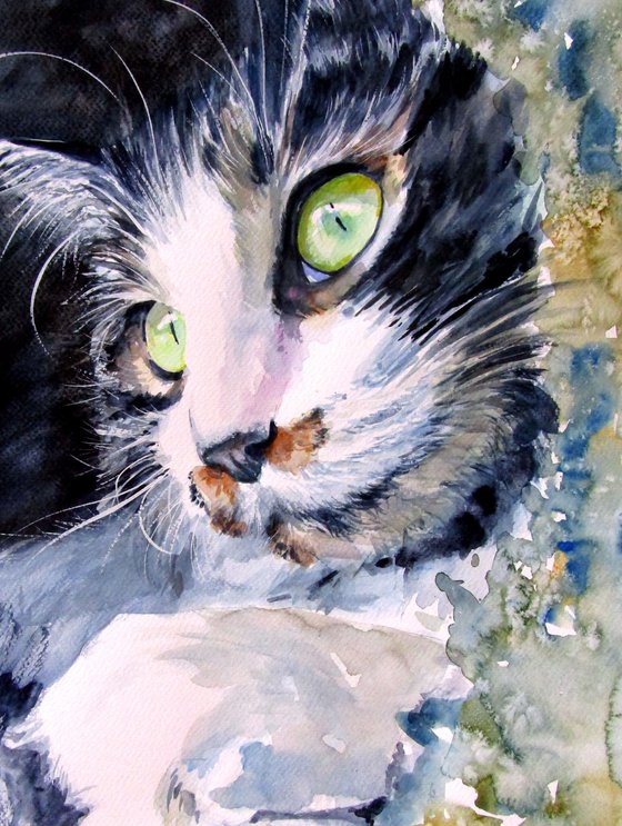 Resting cat