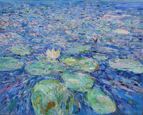"Water Lilies "