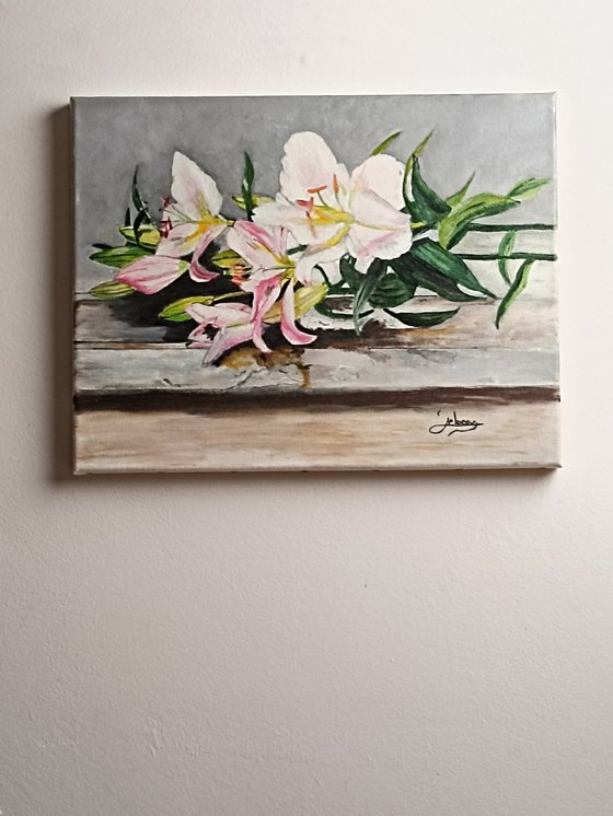 White lily
