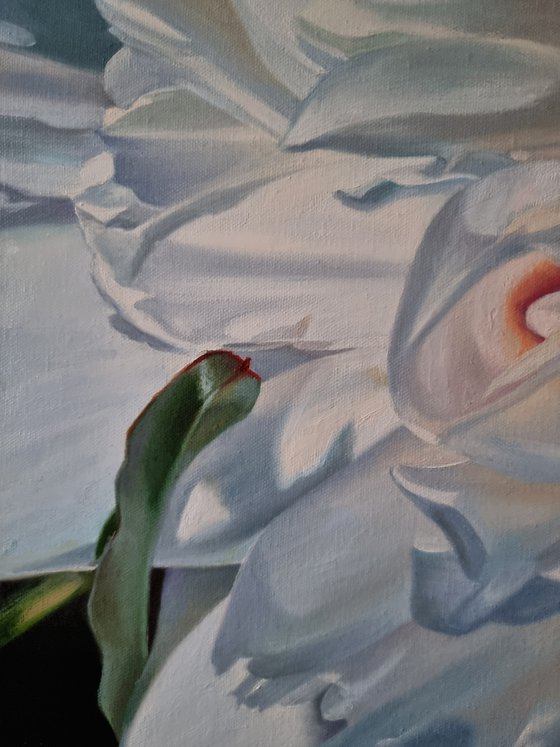 "To freedom. " peony  flower 2022