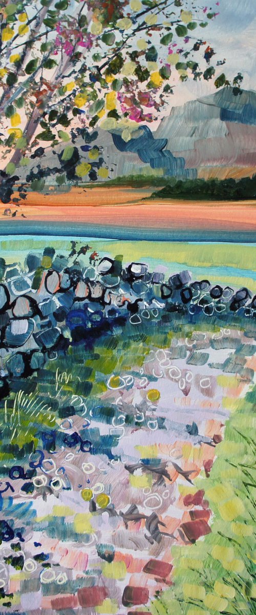 Lakeland Path by Julia  Rigby