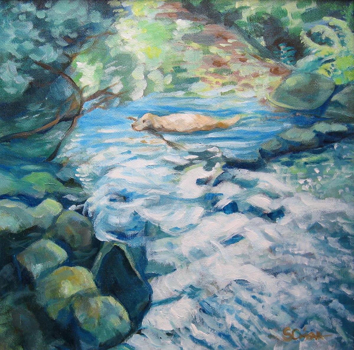 Dog Day at the Creek II by Stephanie Cissna