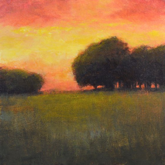 Oak Sunset, 12x12 inches