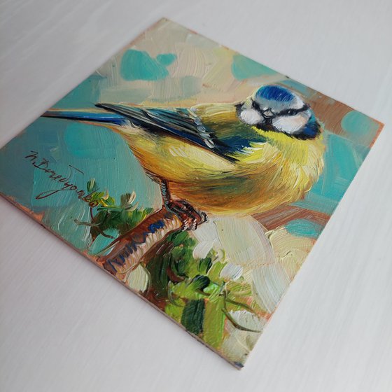 Blue bird painting original art 4x4, Little bird artwork in frame, Framed art of Blue tit bird, Pocket bird picture Christmas gift