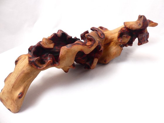 Emerging Phoenix - Abstract Wood Sculpture