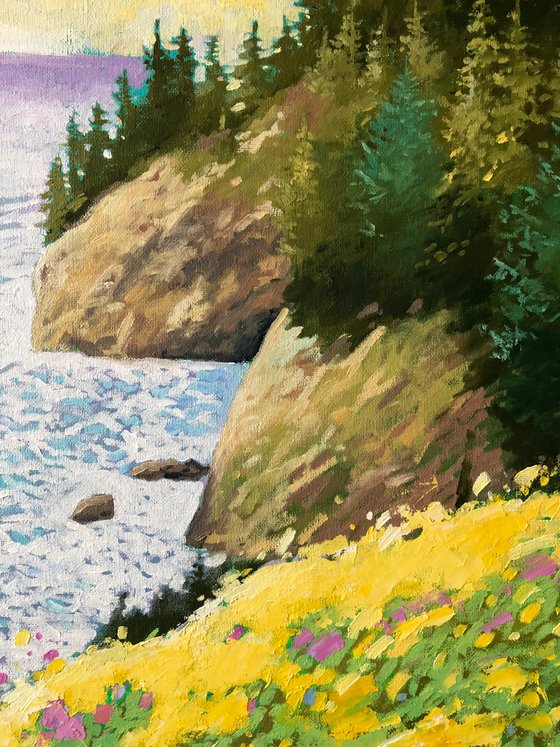 Rocky coastline with yellow flowers