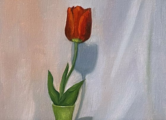 STILL LIFE WITH TULIP