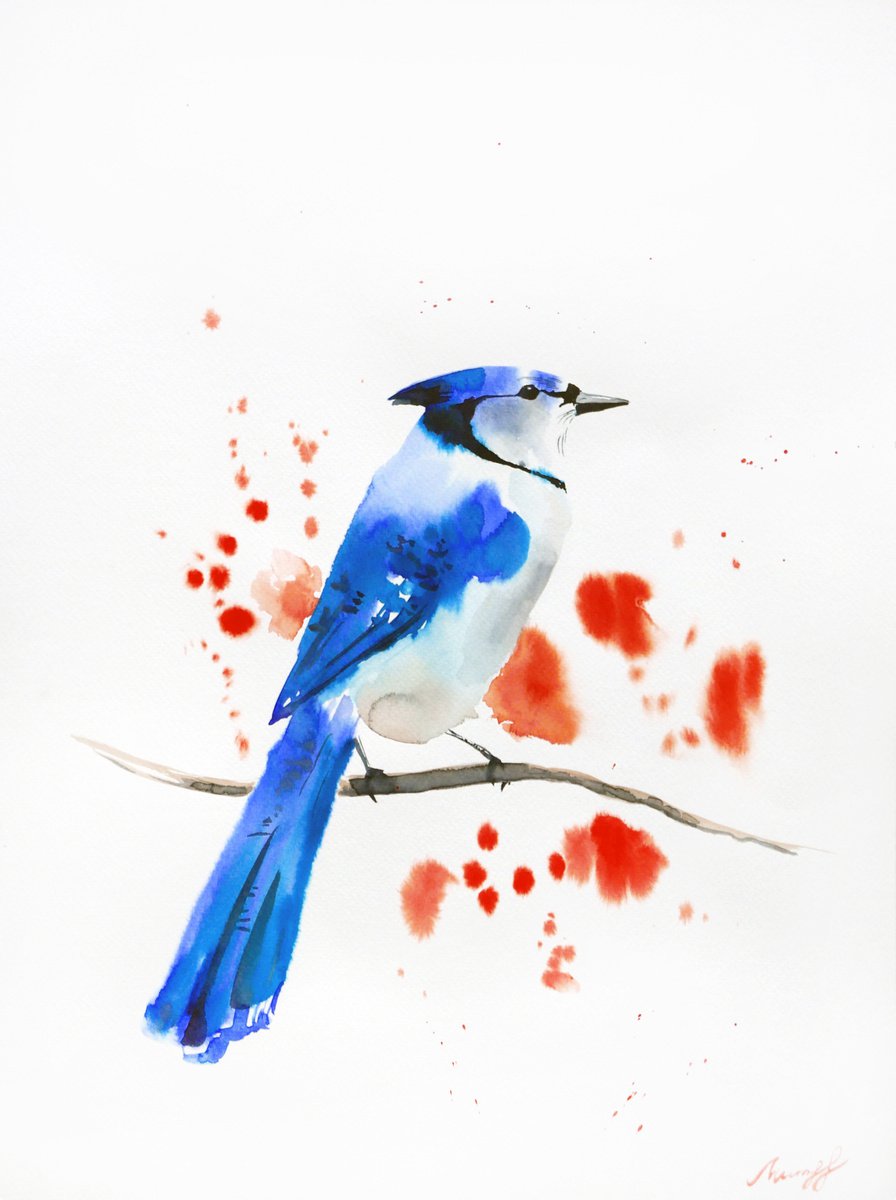 Blue Jay by Ekaterina Mitrofanova