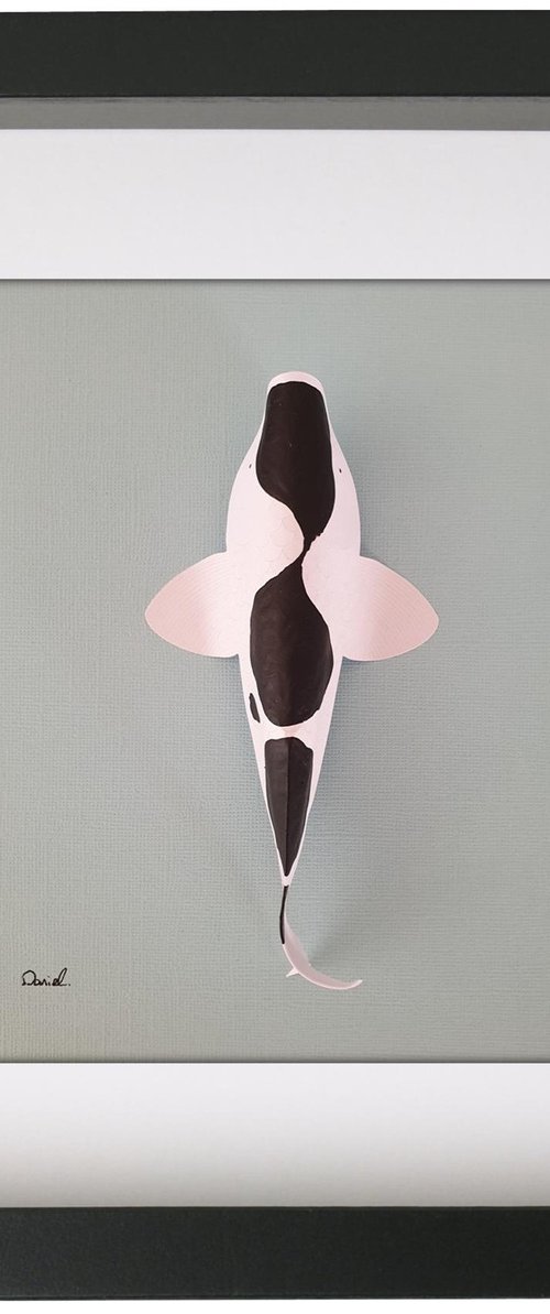 Black Kohaku Koi by Daniel A du Preez