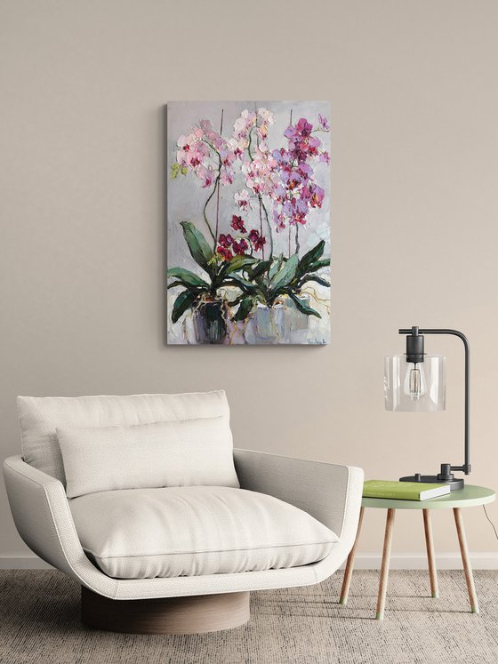 Blooming Orchids