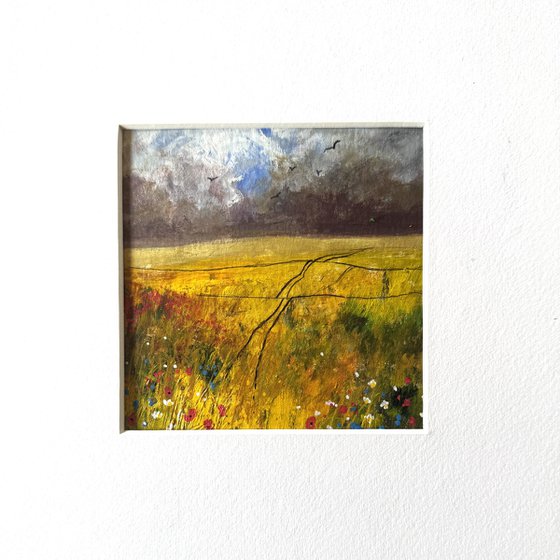 Cornfield